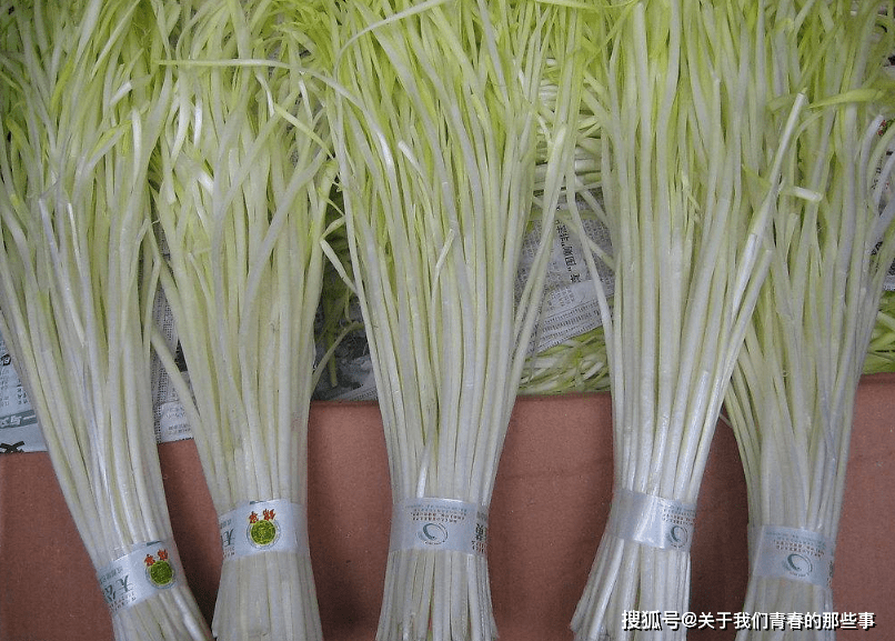 韭黄行情深度解析与观点阐述,市场趋势、影响因素及展望