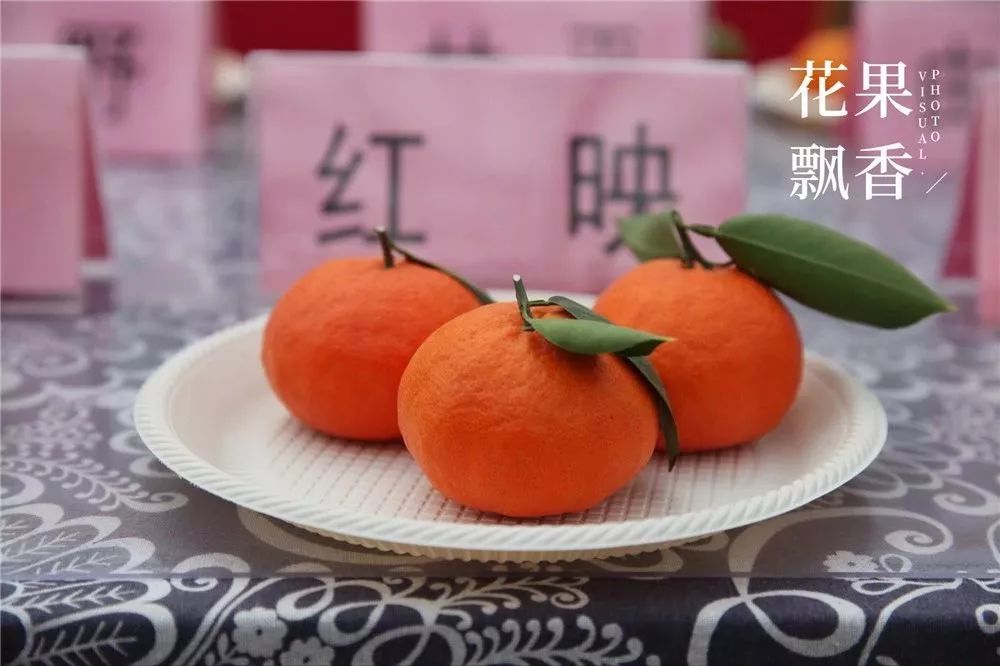 多瓦尔新动态,自然美景探寻之旅