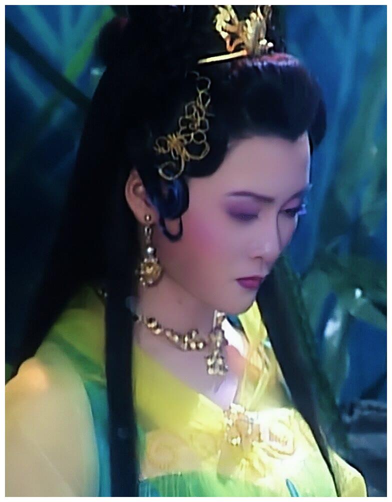 杨静,演艺之路的闪耀之星