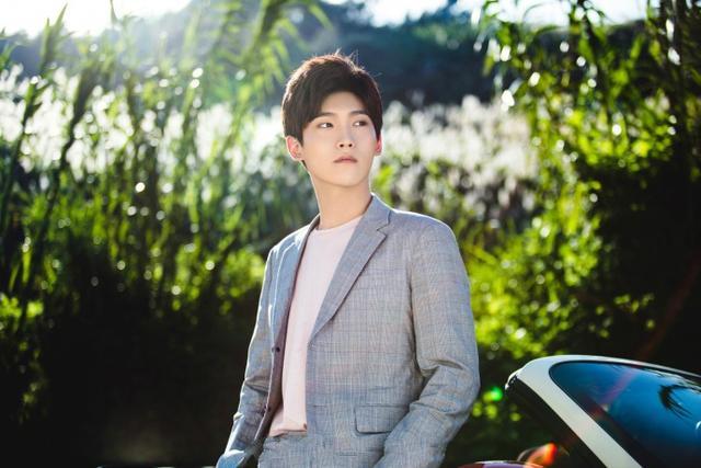 贾乃亮多样角色展现,精彩纷呈的电视剧作品