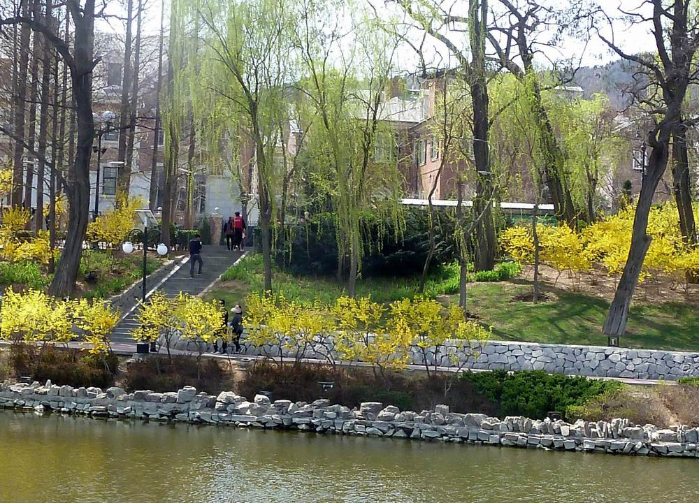 大连春柳公园最新价格概览