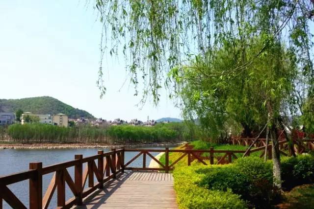 大连春柳公园最新价格概览