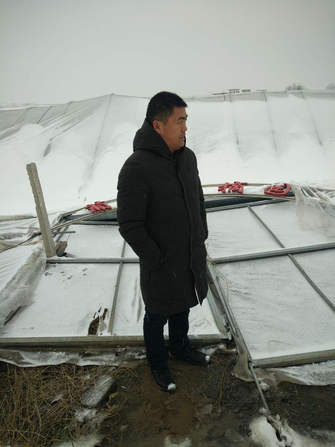 芜湖的葡萄情缘,品味新鲜葡萄的美味之旅