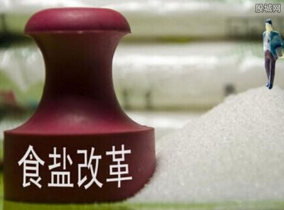 盐业改革最新动态详解,步骤指南与最新进展