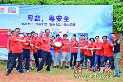 盐业改革最新动态详解,步骤指南与最新进展