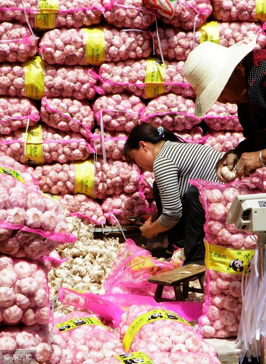云南大蒜最新价格行情详解,获取与分析大蒜价格信息的指南