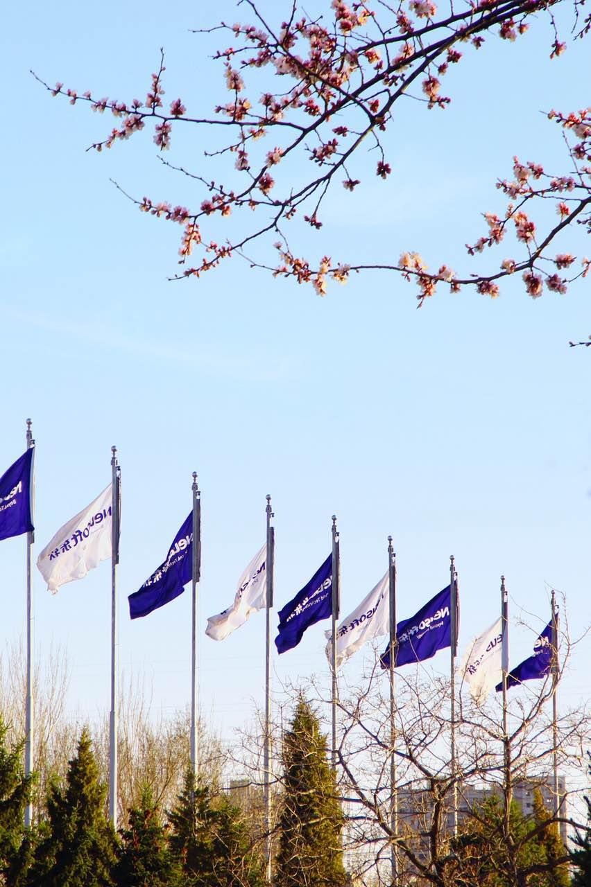 沈阳自贸区最新动态及详细步骤指南