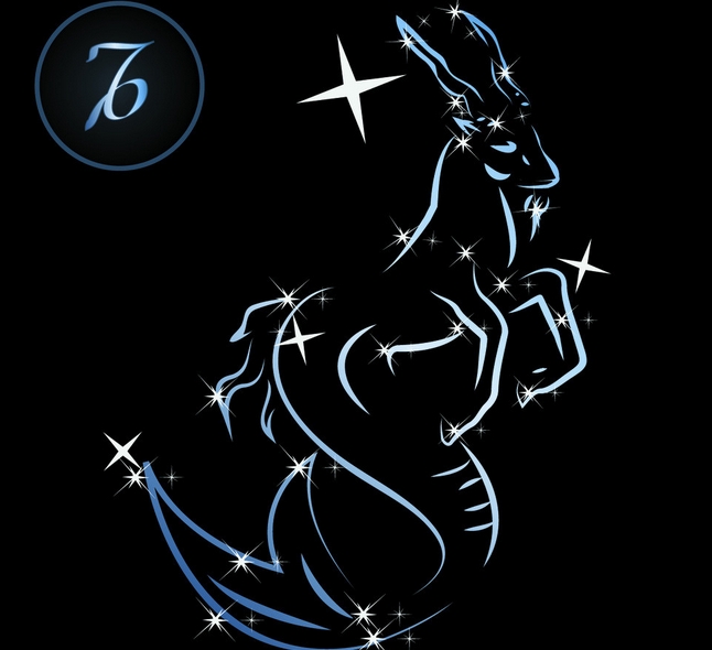 摩羯星动态更新,星空下的温馨日常