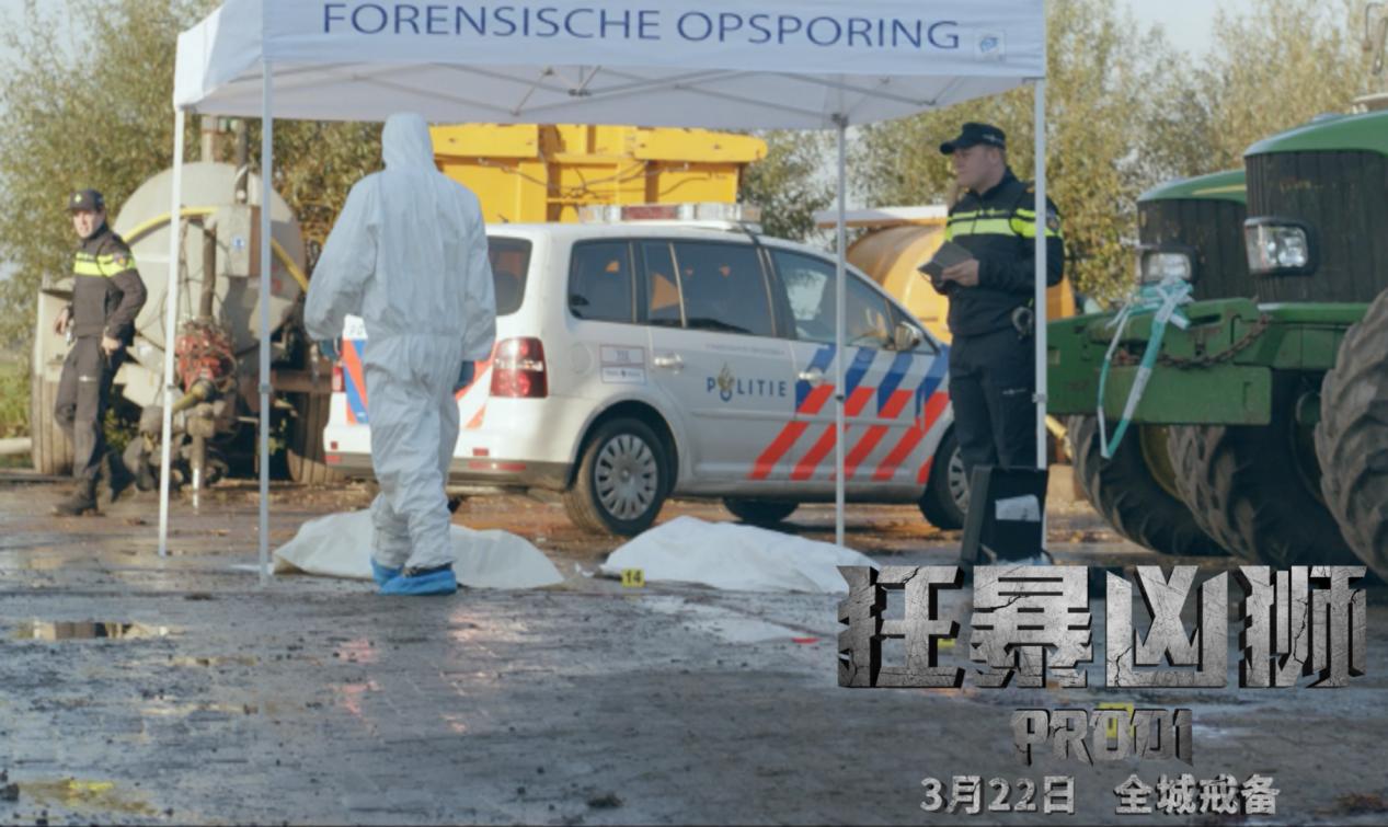 治愈之旅,超级解压电影带你探索自然美景的奇幻之旅