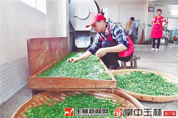 广西北流市最新资讯,城市温情与友情的绚烂色彩