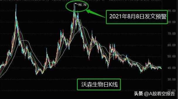 沃森股票行情深度解析与指导指南