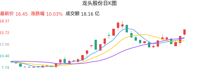 龙头股份行情深度解析,探索市场潜力与机遇