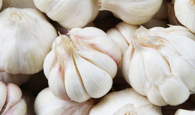 当下大蒜行情下的蒜香小巷探秘之旅