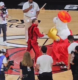 康纳麦格雷戈比赛视频,小巷深处的拳击热血与独特风味揭秘