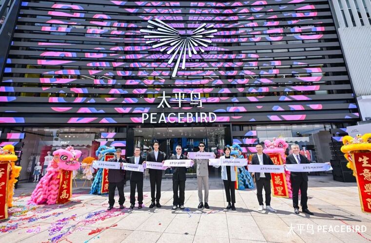 太平鸟股票,小巷中的独特风景与探索之旅揭秘财经之旅的奥秘