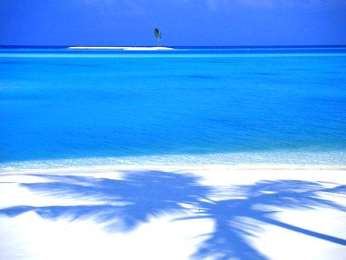 色天堂最新,自然美景探险之旅,寻找内心的平和与喜悦