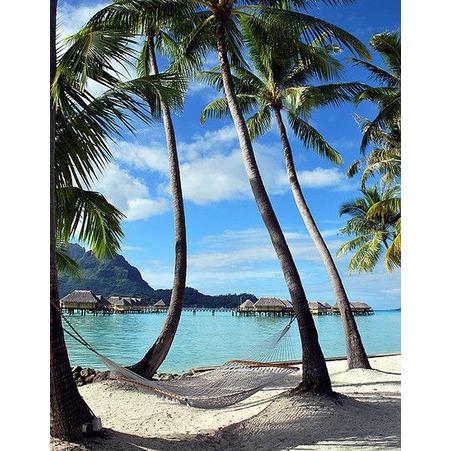 色天堂最新,自然美景探险之旅,寻找内心的平和与喜悦