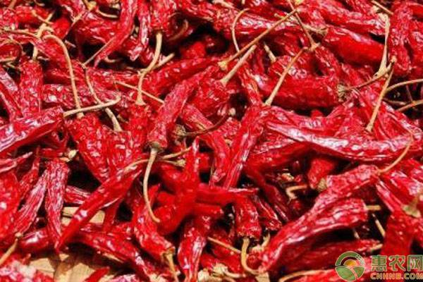 金乡干辣椒最新价格行情,市场分析、趋势预测与价格动态更新报告