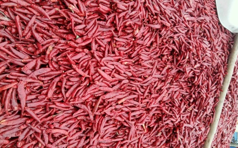 金乡干辣椒最新价格行情,市场分析、趋势预测与价格动态更新报告