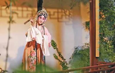 解读与观点探讨,最新章节浪子官场深度剖析