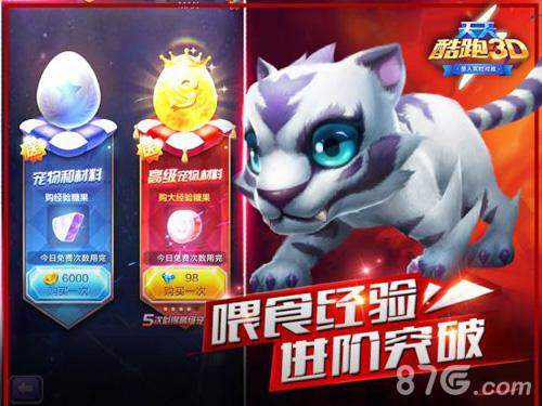 天天酷跑最新宠物深度解析与观点阐述