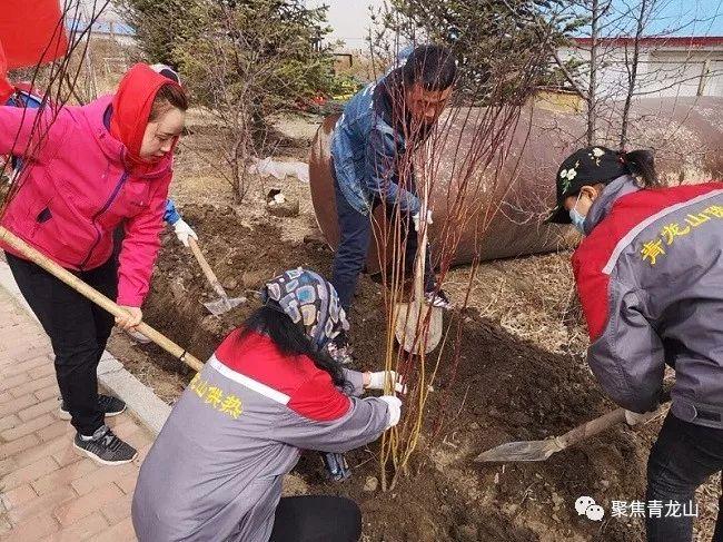 全民农场最新下载,学习之旅中的成就与自信之源