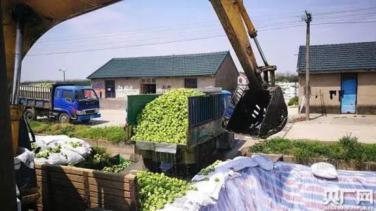 余姚最新价格指南,一步步获取最新价格信息