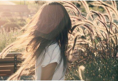 灯花笑最新章节阅读,网络文学的阅读价值与发展趋势探讨