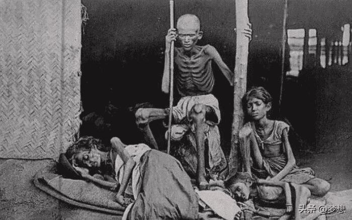 饥荒百科全书最新版深度解析,背景、重要事件与地位探究