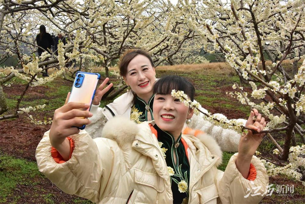 信丰最新新闻报道