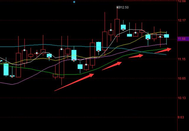 中葡股份最新动态,自然美景的探索之旅启程