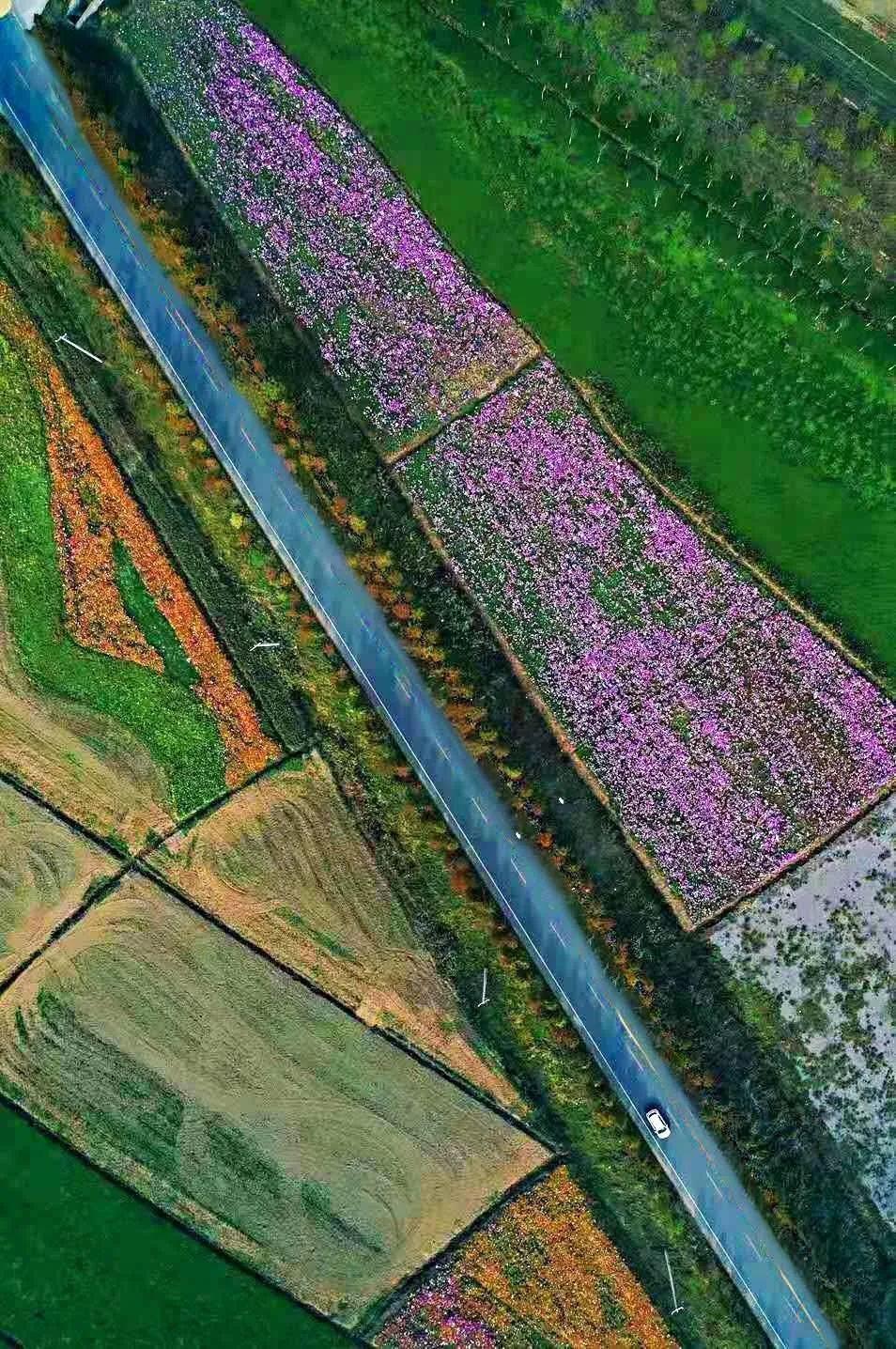 徐州航拍新视角,梦想之城的变化与自信成就展示