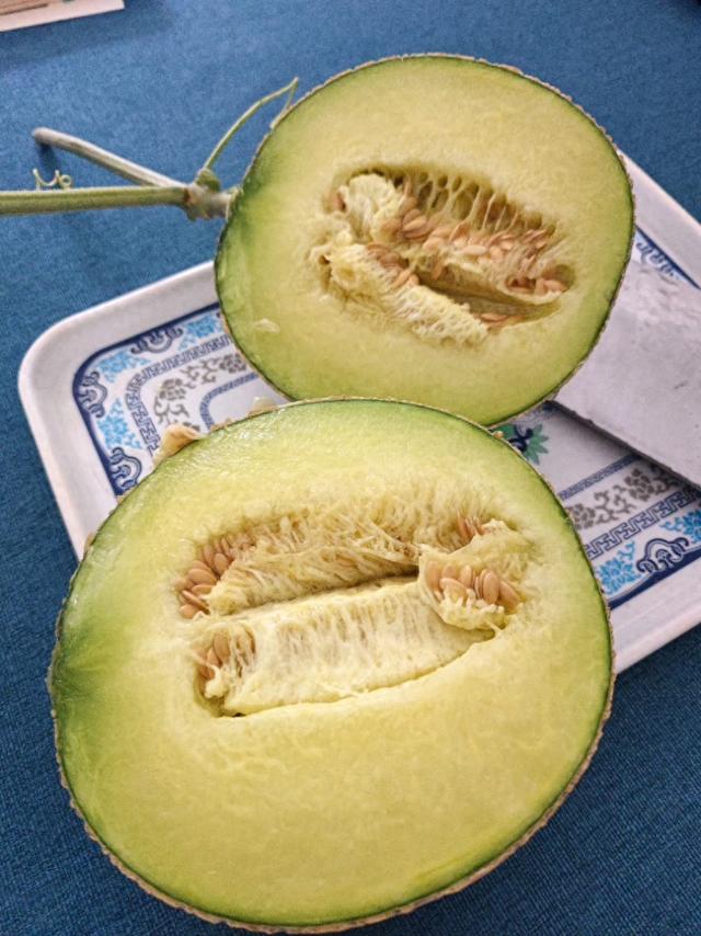 北京甜瓜最新价格,瓜香中的友情与家的温馨传递温暖情感