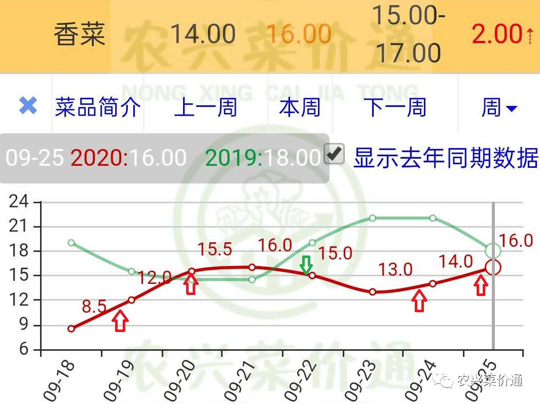 科技引领新生活,智能追踪蔬菜行情,香芹最新价格行情速递