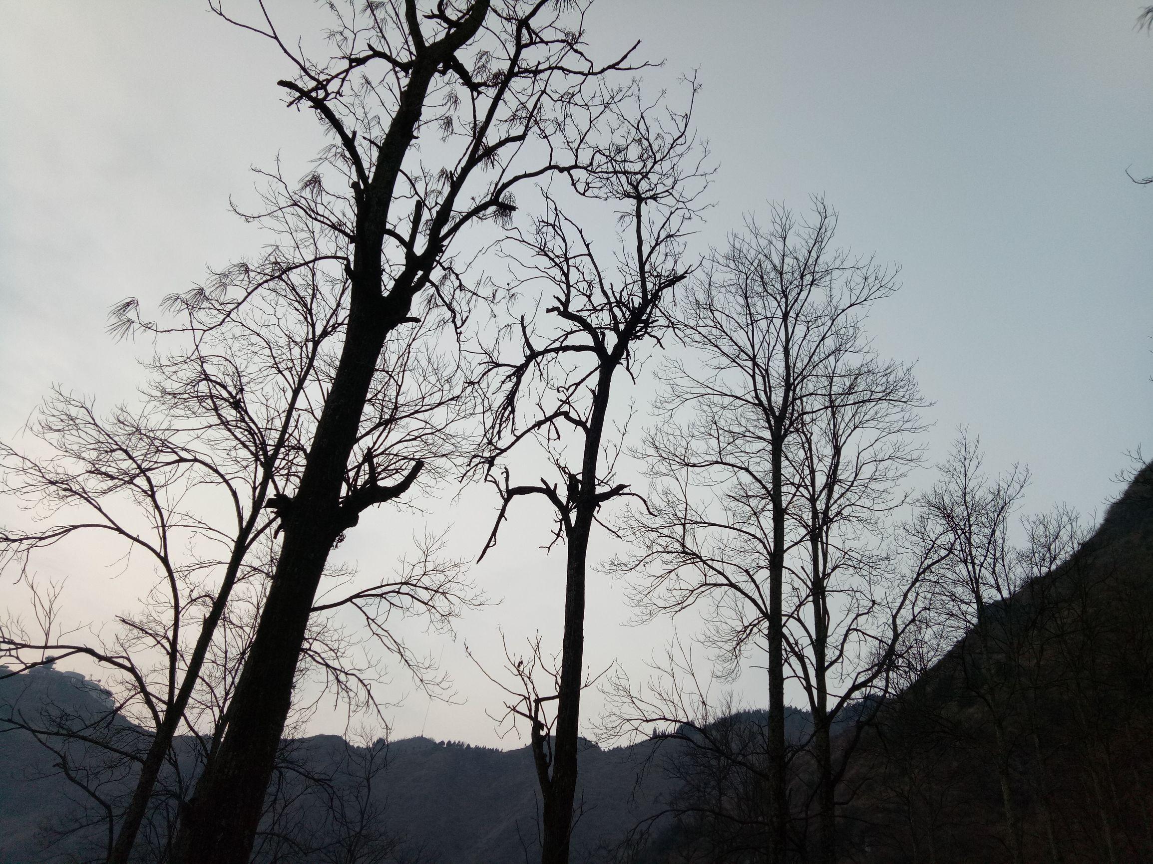 小巷深处的神秘小店,最新乳汁故事探索之旅