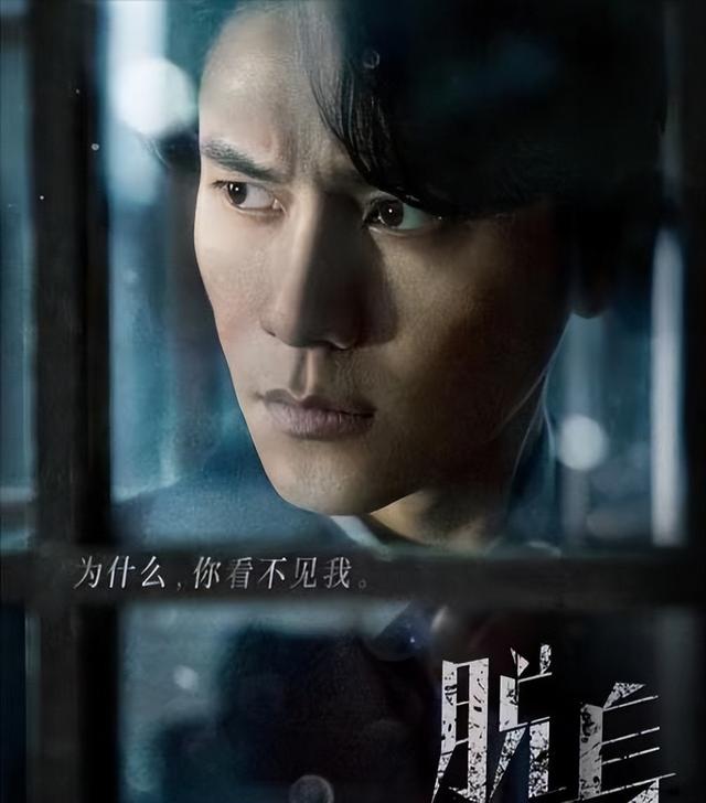 启程寻找内心的宁静,2025最新伦电影带你探索自然美景的治愈之旅