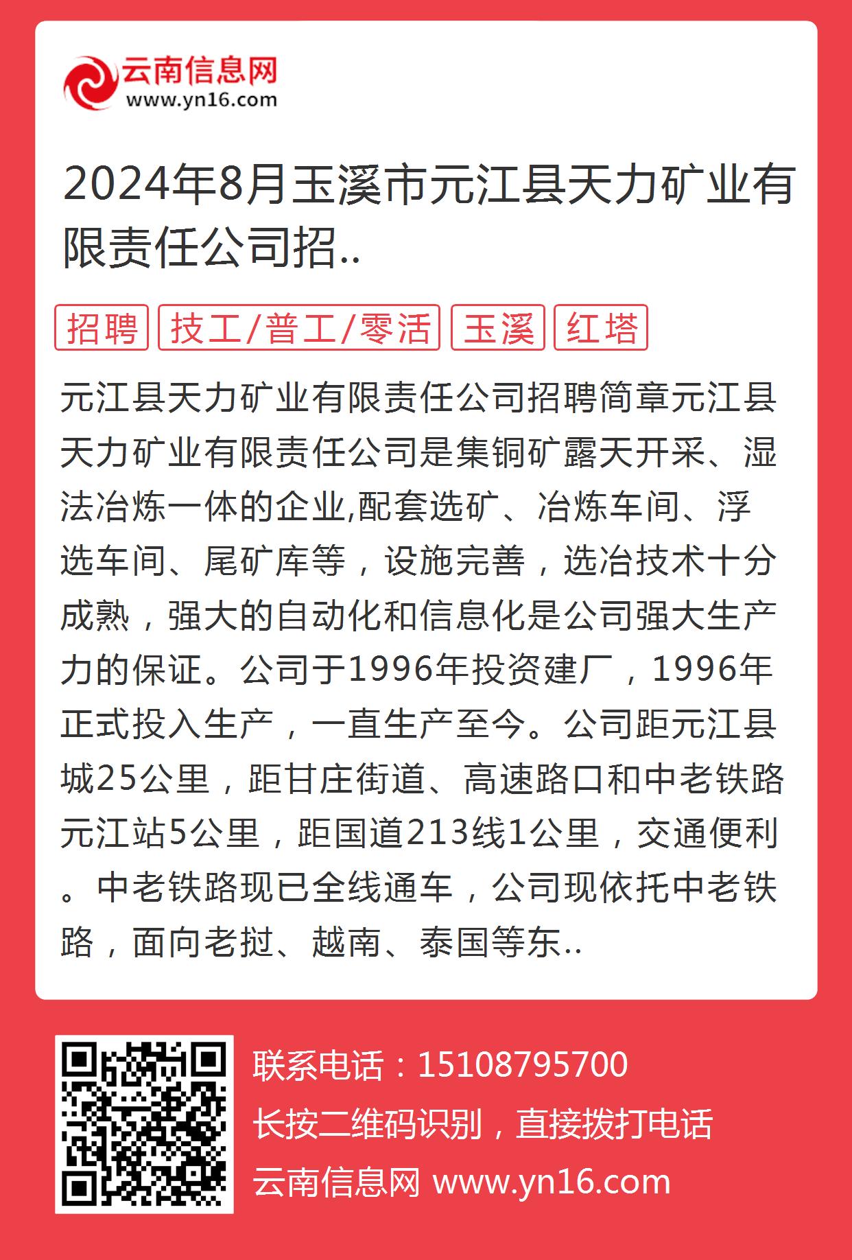 元江最新招聘,老友重逢的招聘奇遇日常故事