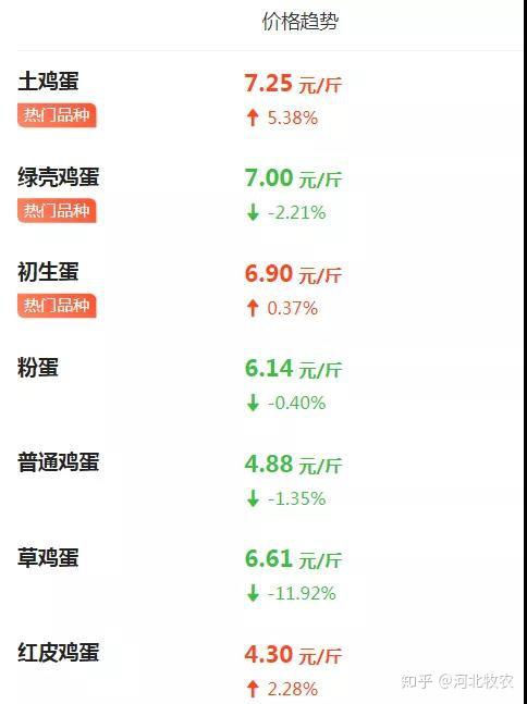鸡蛋今日最新报价,小小鸡蛋背后的自信与成就之路