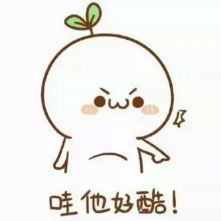 最新告白方式,情感与技术的完美融合革新之旅