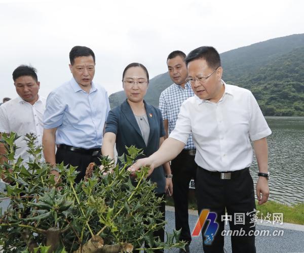 北仑改造计划,探索自然美景的轻松之旅启动在即