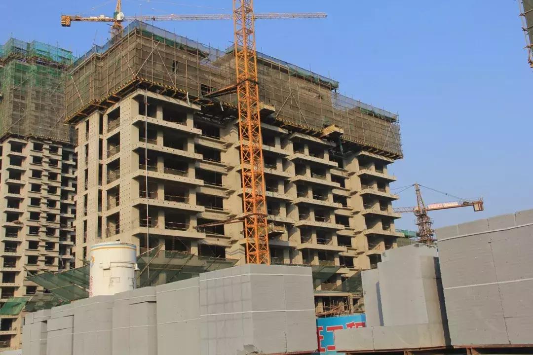 沧州运河景观最新——科技与自然和谐共融的绝美风光