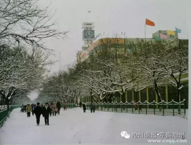 沧州运河景观最新——科技与自然和谐共融的绝美风光