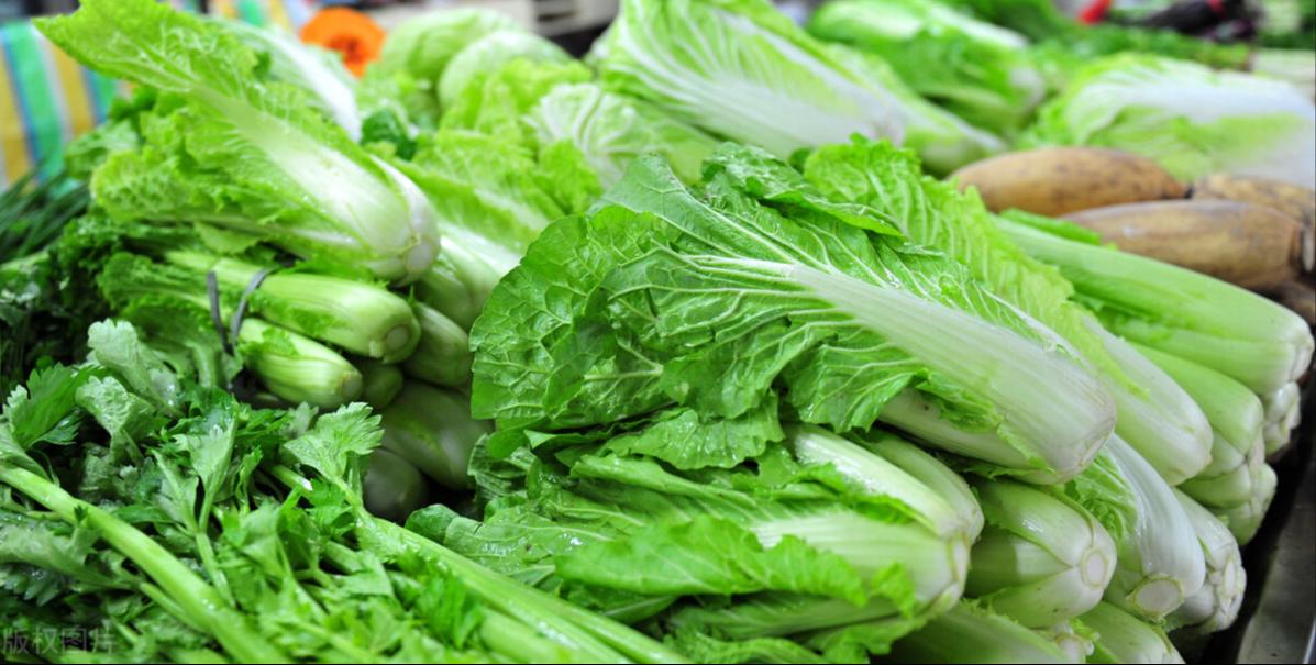 🌟大葱最新价格走势分析🌟