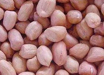 最新加勒比系列种子及其观点论述解析