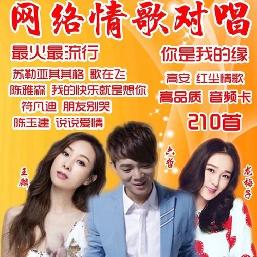 男女对唱2025最新,小巷中的音乐瑰宝,情歌二重奏的流行魅力