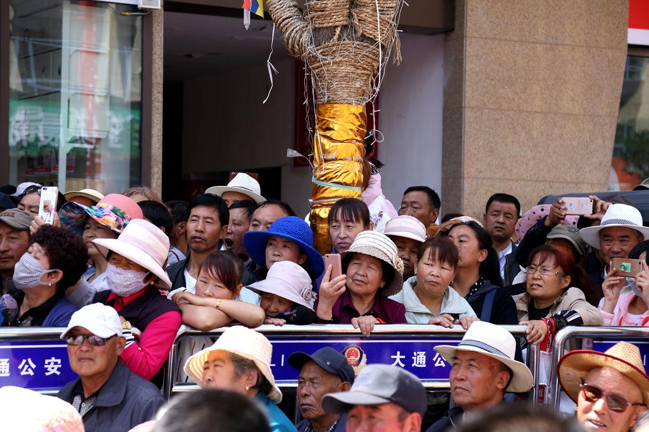 青海花儿最新流行曲2025