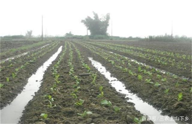 2025最新每日农经,高科技产品介绍