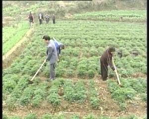 2025最新每日农经,高科技产品介绍