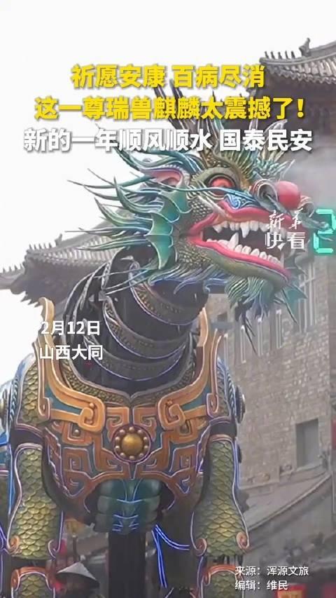 麒麟狮最新观点阐述与深度解析