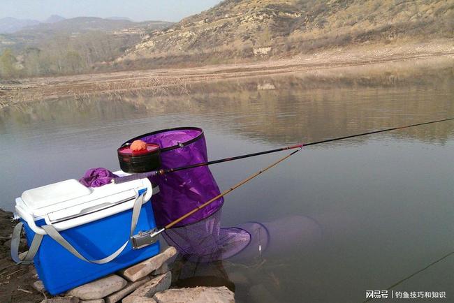 揭秘科学钓鱼最新秘籍,轻松钓上大鱼的秘诀!✨
